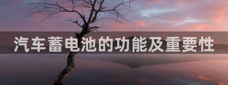优发娱乐国际线上：汽车蓄电池的功能及重要性