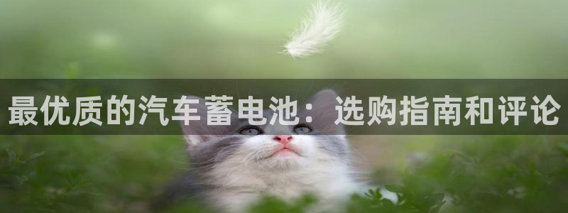 优发国际官网首页