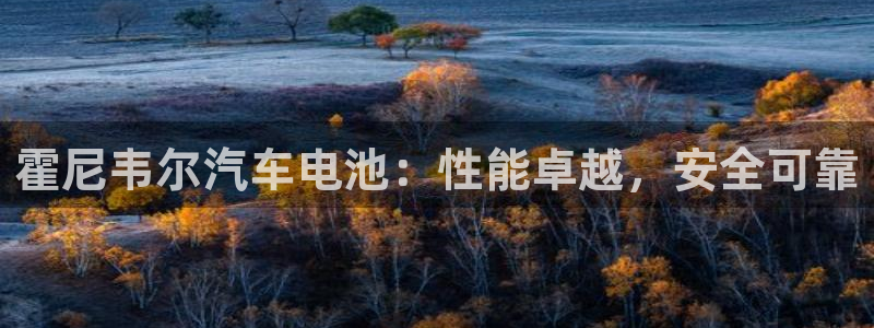 优发娱乐官网地址：霍尼韦尔汽车电池：性能
