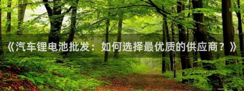 优发国际手机app下载安装官网：《汽车锂电池批发：如何选择最优质的供应商？》