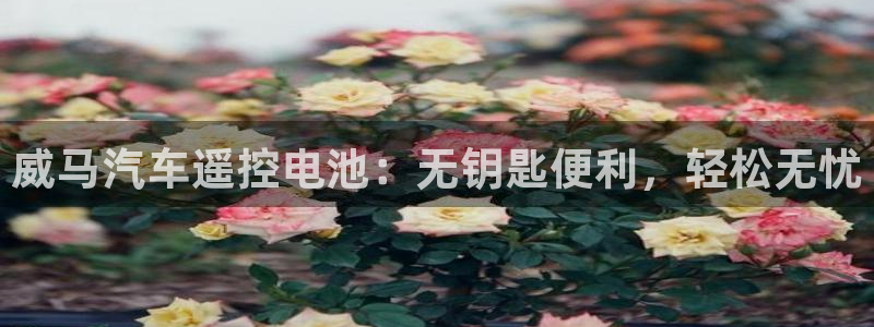 优发国际官网手机版下载安装：威马汽车遥控