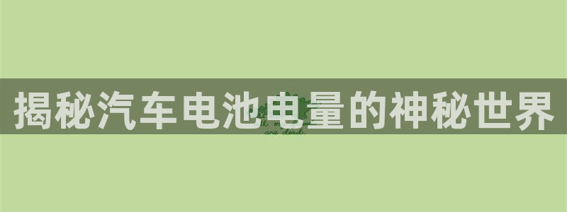 优发国际平台app下载苹果版：揭秘汽车电池电量的神秘世界