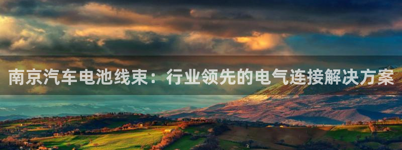 优发国际下载app：南京汽车电池线束：行业领先的电气连接解决方案