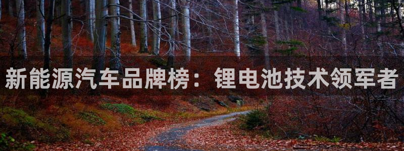 优发国际官网手机版app：新能源汽车品牌榜：锂电池技术领军者
