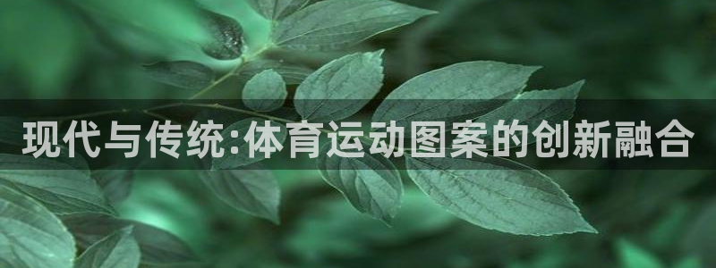 哈哈体育下载：现代与传统:体育运动图案的创新融合