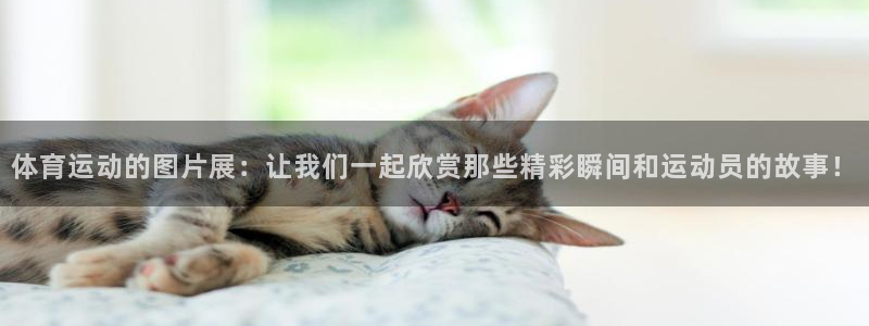 哈哈体育十年：体育运动的图片展：让我们一起欣赏那些精彩瞬间和运动员的故事！