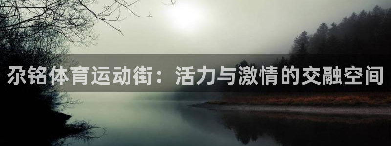 哈哈体育十年：尕铭体育运动街：活力与激情的交融空间