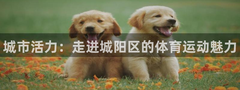 哈哈体育下载