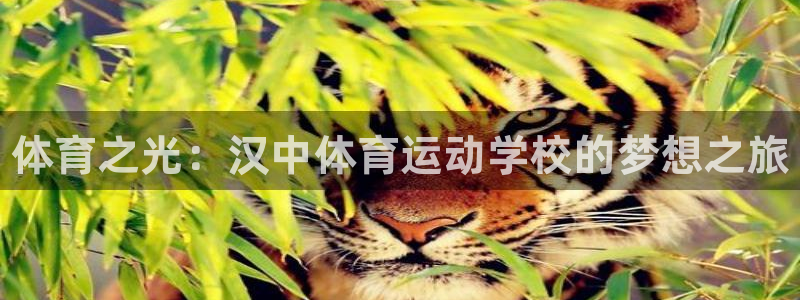 哈哈体育：体育之光：汉中体育运动学校的梦想之旅