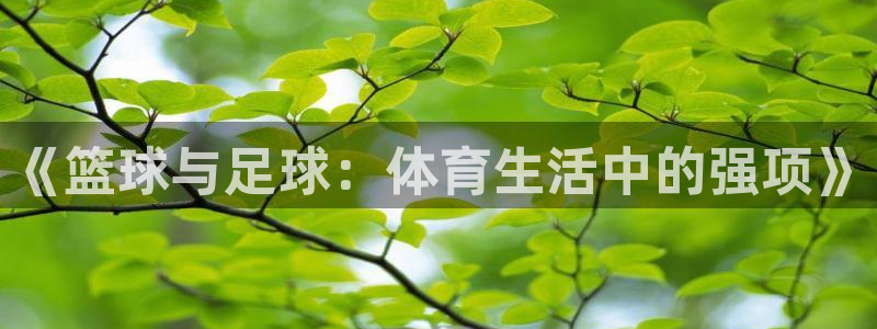 哈哈体育下载：《篮球与足球：体育生活中的强项》