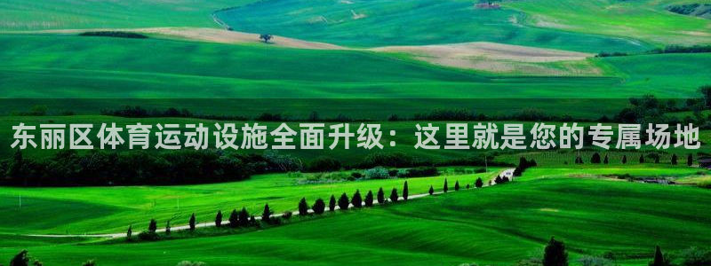 哈哈体育下载：东丽区体育运动设施全面升级：这里就是您的专属场地