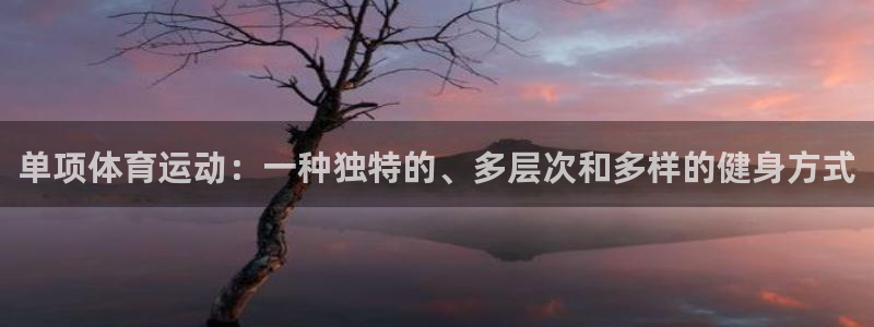 哈哈体育十年：单项体育运动：一种独特的、多层次和多样的健身方式