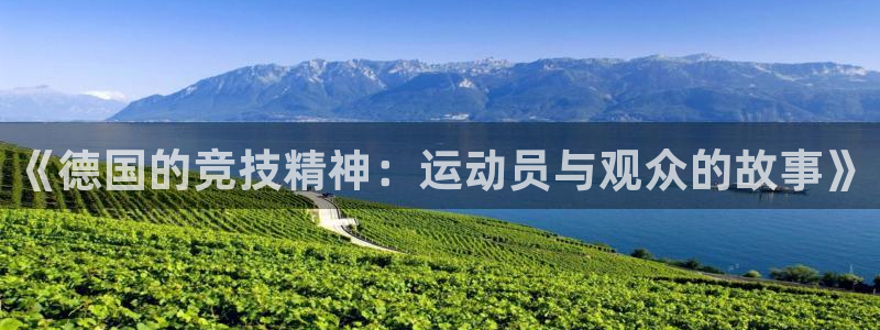 哈哈体育：《德国的竞技精神：运动员与观众的故事》