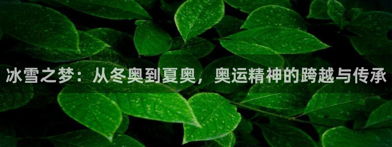 哈哈体育：冰雪之梦：从冬奥到夏奥，奥运精神的跨越与传承