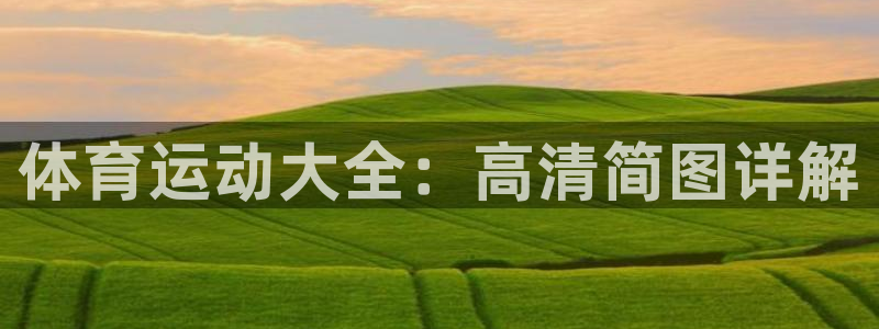 哈哈体育：体育运动大全：高清简图详解