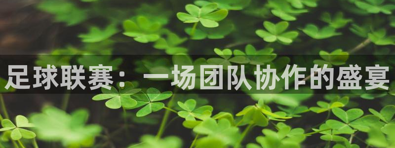 哈哈体育十年：足球联赛：一场团队协作的盛宴