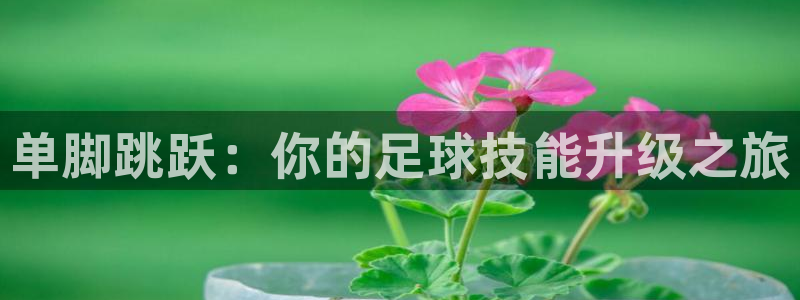 哈哈体育下载：单脚跳跃：你的足球技能升级之旅