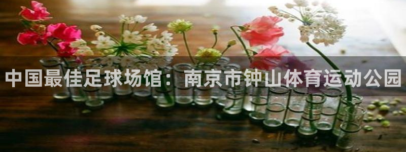 哈哈体育：中国最佳足球场馆：南京市钟山体育运动公园