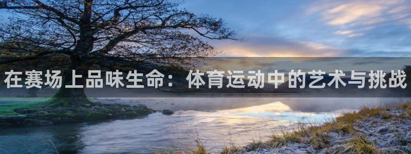 哈哈体育十年：在赛场上品味生命：体育运动中的艺术与挑战