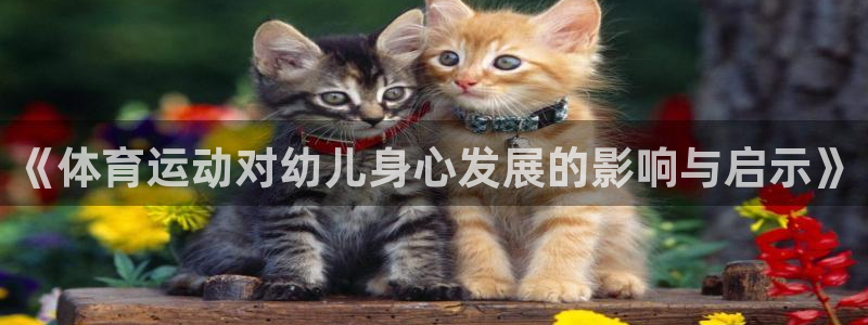 哈哈体育下载：《体育运动对幼儿身心发展的影响与启示》