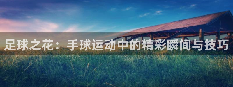 哈哈体育下载：足球之花：手球运动中的精彩瞬间与技巧