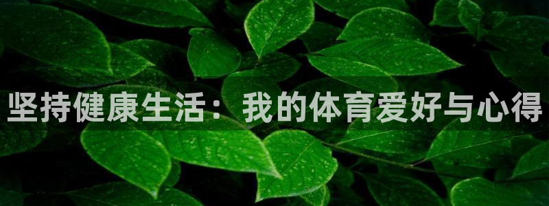 哈哈体育：坚持健康生活：我的体育爱好与心得