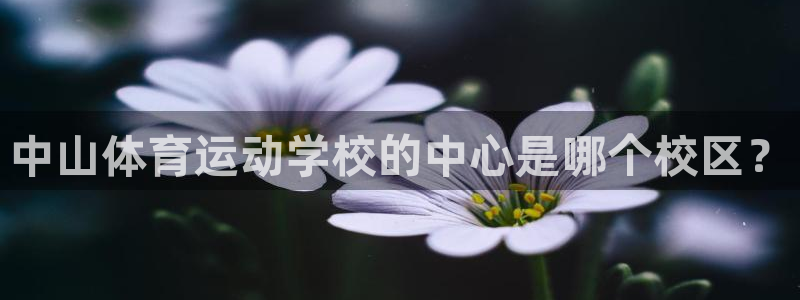 哈哈体育十年：中山体育运动学校的中心是哪个校区？