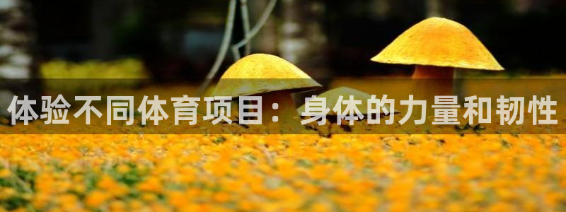 哈哈体育十年：体验不同体育项目：身体的力量和韧性