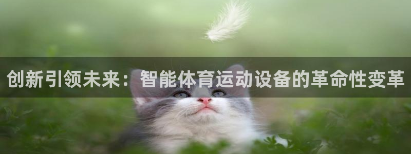 哈哈体育十年：创新引领未来：智能体育运动设备的革命性变革