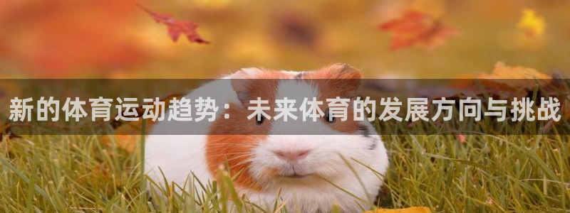 哈哈体育