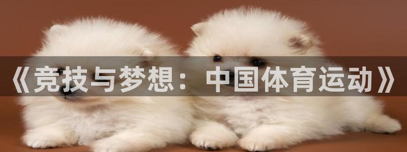 哈哈体育：《竞技与梦想：中国体育运动》