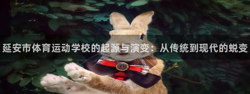 哈哈体育：延安市体育运动学校的起源与演变：从传统到现代的蜕变