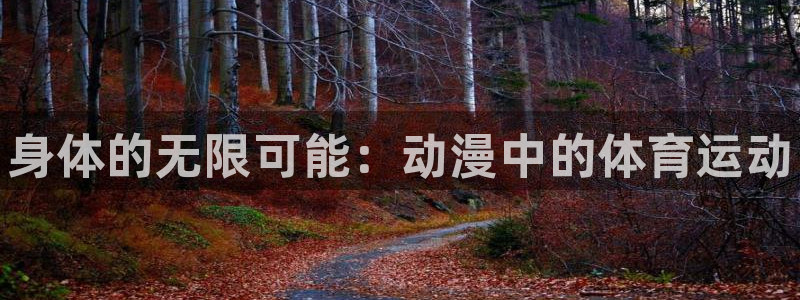 哈哈体育十年：身体的无限可能：动漫中的体育运动