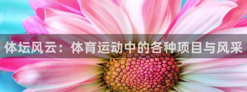 哈哈体育下载：体坛风云：体育运动中的各种项目与风采