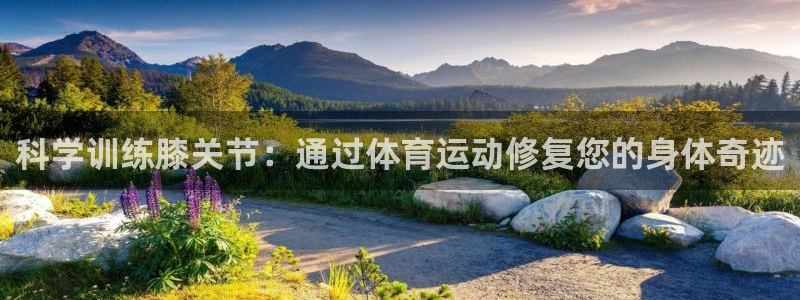哈哈体育十年：科学训练膝关节：通过体育运动修复您的身体奇迹