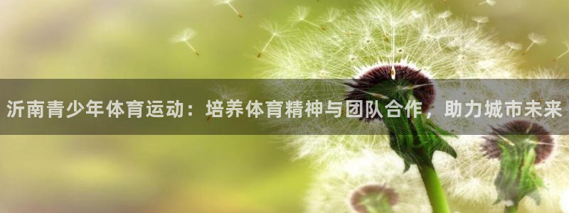 哈哈体育下载：沂南青少年体育运动：培养体育精神与团队合作，助力城市未来