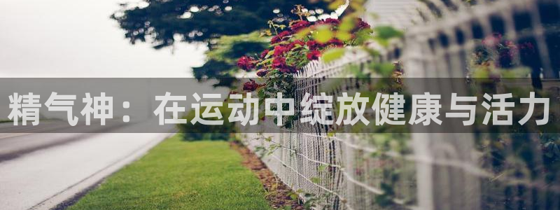 哈哈体育：精气神：在运动中绽放健康与活力
