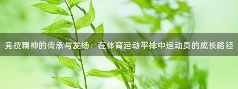 哈哈体育十年：竞技精神的传承与发扬：在体育运动平排中运动员的成长路径