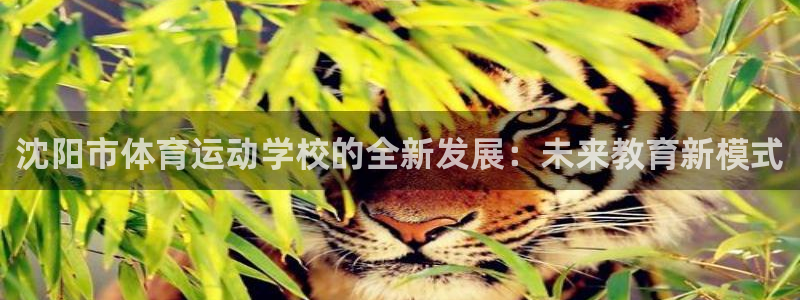 哈哈体育：沈阳市体育运动学校的全新发展：未来教育新模式