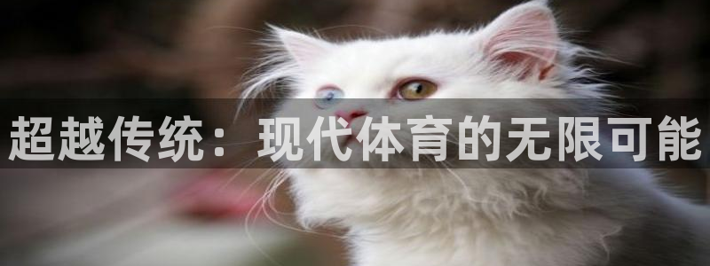 哈哈体育下载