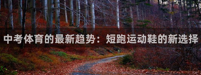 哈哈体育十年：中考体育的最新趋势：短跑运动鞋的新选择