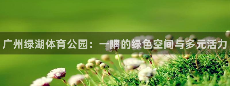 哈哈体育下载：广州绿湖体育公园：一隅的绿色空间与多元活力