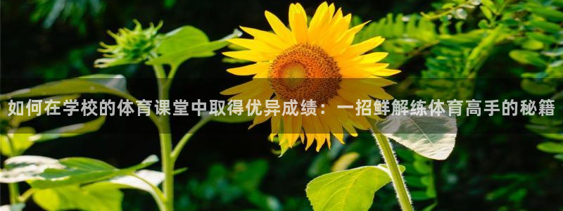 哈哈体育十年：如何在学校的体育课堂中取得优异成绩：一招鲜解练体育高手的秘籍