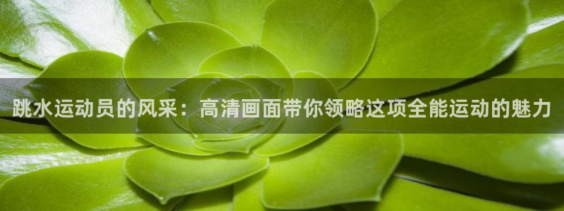 哈哈体育十年：跳水运动员的风采：高清画面带你领略这项全能运动的魅力