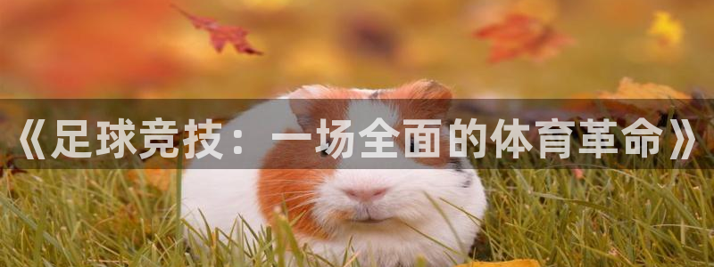 哈哈体育下载：《足球竞技：一场全面的体育革命》