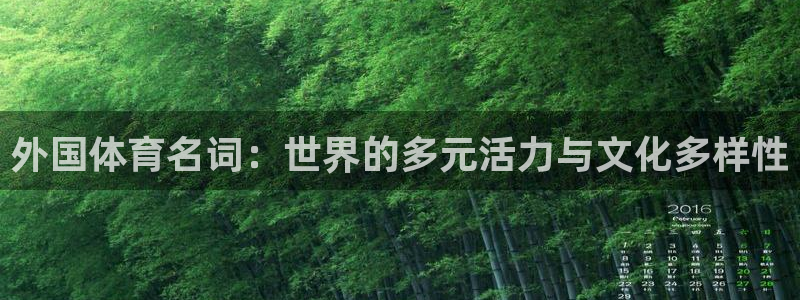 哈哈体育十年：外国体育名词：世界的多元活力与文化多样性